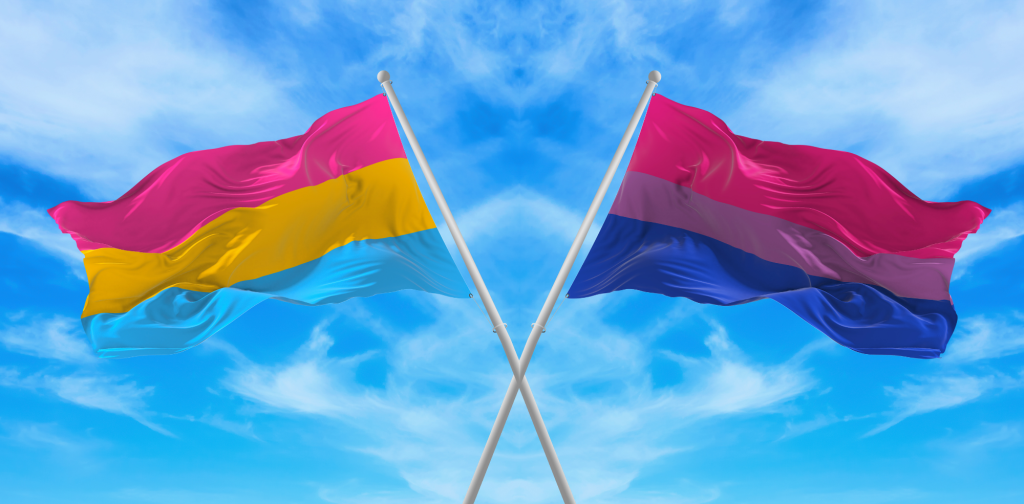 Bisexual and Pansexual pride flags flying together.