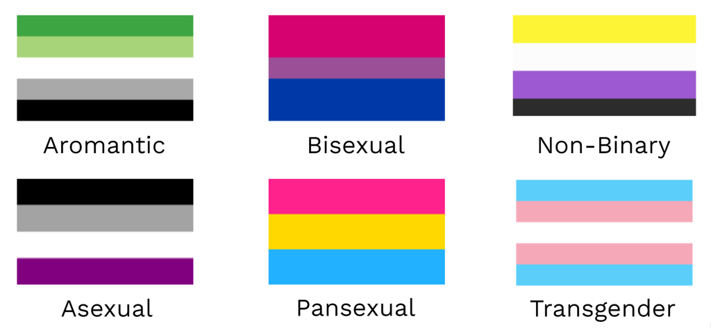 Top row: Aromantic, Bisexual, and Non-binary Pride Flags

Bottom Row: Asexual, Pansexual, and Transgender Pride Flags