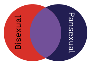 A Venn diagram showing two circles labeled Bisexual and Pansexual, with a large area of overlap