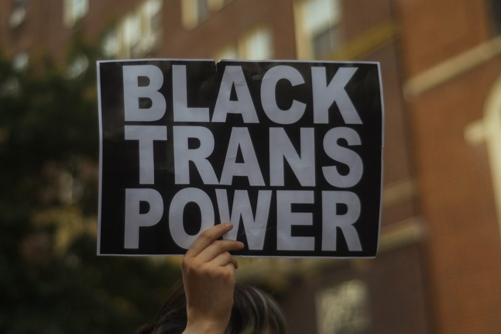 An image of a hand holding a sign that says "black trans power".