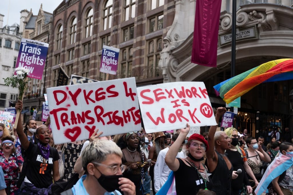 An image of lesbians with signs supporting trans rights at a Pride march reading: "trans rights now" "dykes 4 trans rights" and "sex work is work"